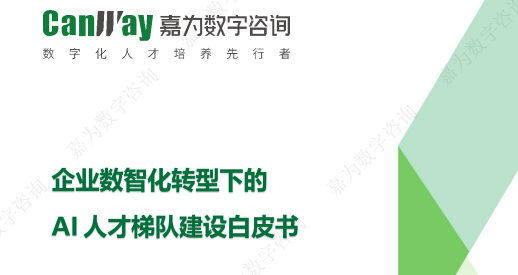 企业数智化转型下的AI人才梯队建设白皮书.png